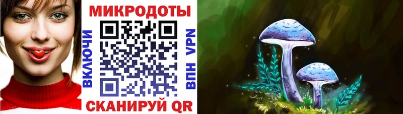 Галлюциногенные грибы Cubensis  закладки  Шебекино 